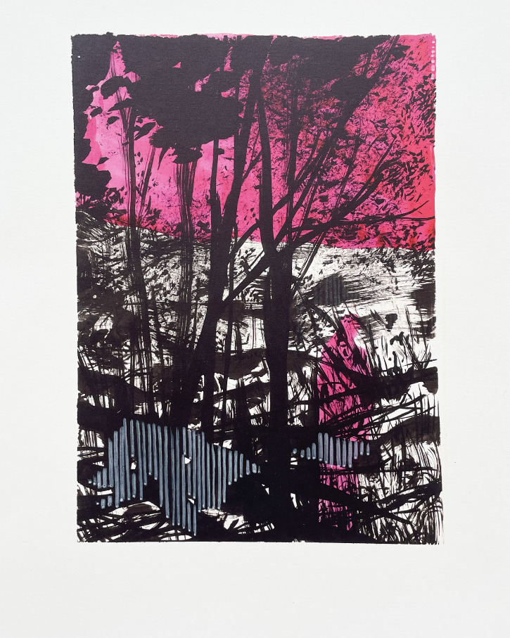 Reproduction — 50 × 35 cm, Dan Kovář